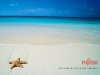 Fujitsu Starfish 1024x768.jpg